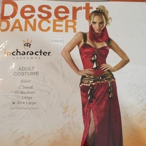 Desert dancer  dress and veil, size X large.